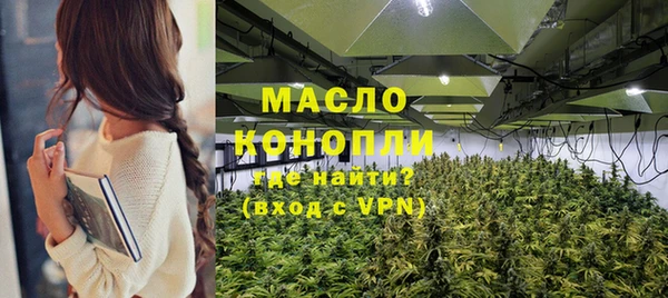 молекула духа Балахна