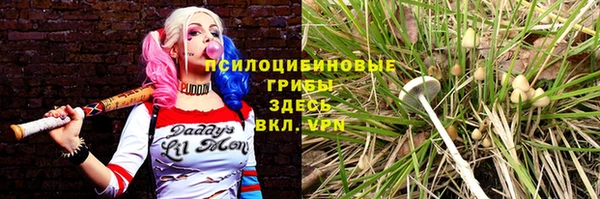 сатива Балабаново