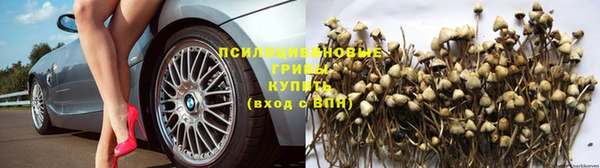 сатива Балабаново