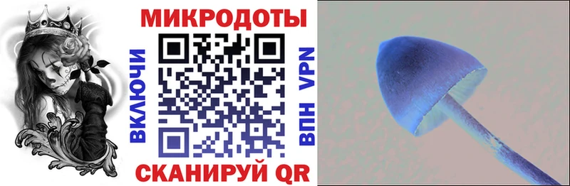 Галлюциногенные грибы ЛСД  Таштагол 