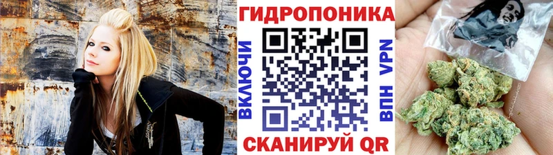Конопля индика  маркетплейс клад  Таштагол 